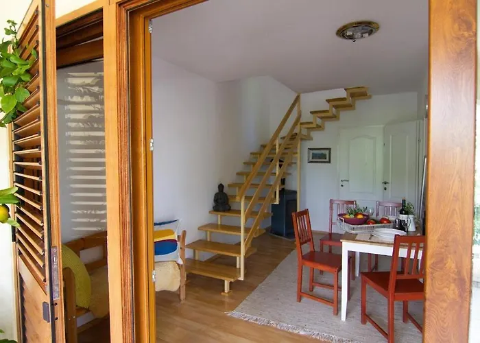 Smokvica - Feigenbaum