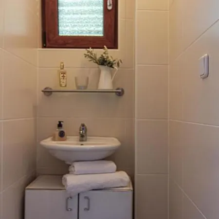 Smokvica - Feigenbaum